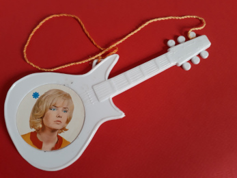 Idole - Guitare